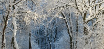 northwest arkansas winter storm - bud anderson home services - bentonville, springdale